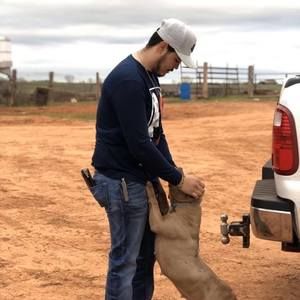 Meet your Posher, Hector